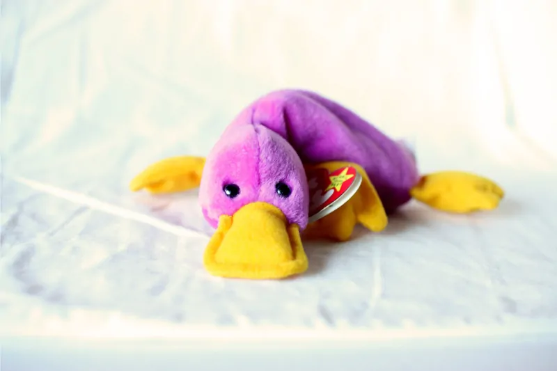 Patti the Platypus rare beanie babies